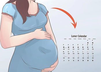 Determine the lunar month of conception